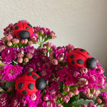 The Goddess’s Familiar: Lucky Lady Bug