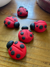 The Goddess’s Familiar: Lucky Lady Bug