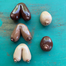 The Breast Magnet (You choose style)