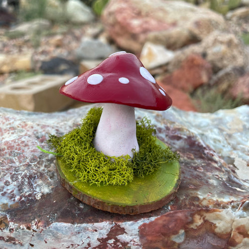 The Woodland Shroom