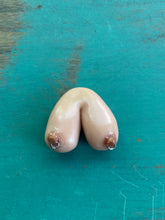 The Breast Magnet (You choose style)