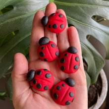 The Goddess’s Familiar: Lucky Lady Bug