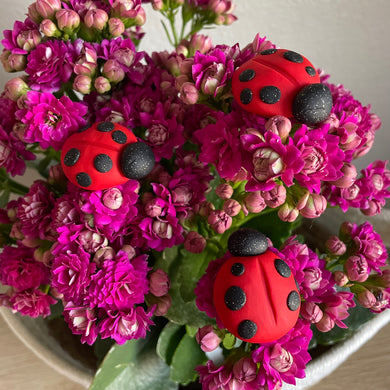 The Goddess’s Familiar: Lucky Lady Bug