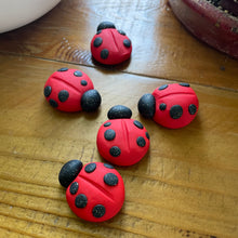 The Goddess’s Familiar: Lucky Lady Bug