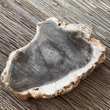 The Goddess’s Crystal: Petrified Wood (One Slice)