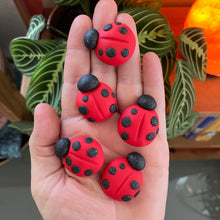 The Goddess’s Familiar: Lucky Lady Bug