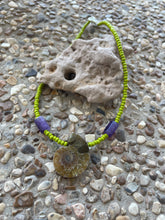 Ammonite Choker Necklace